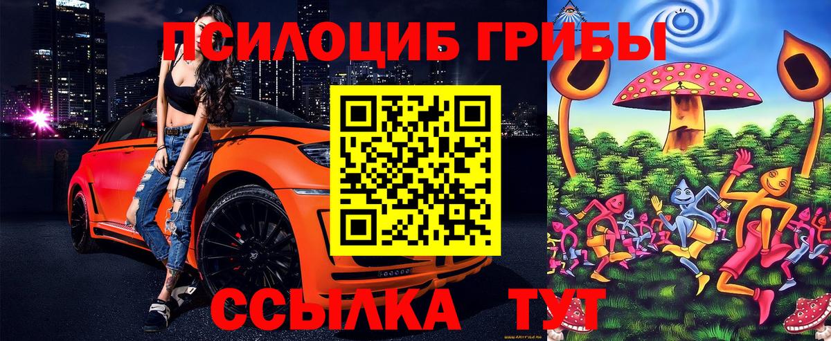 Псилоцибиновые грибы Psilocybe Златоуст
