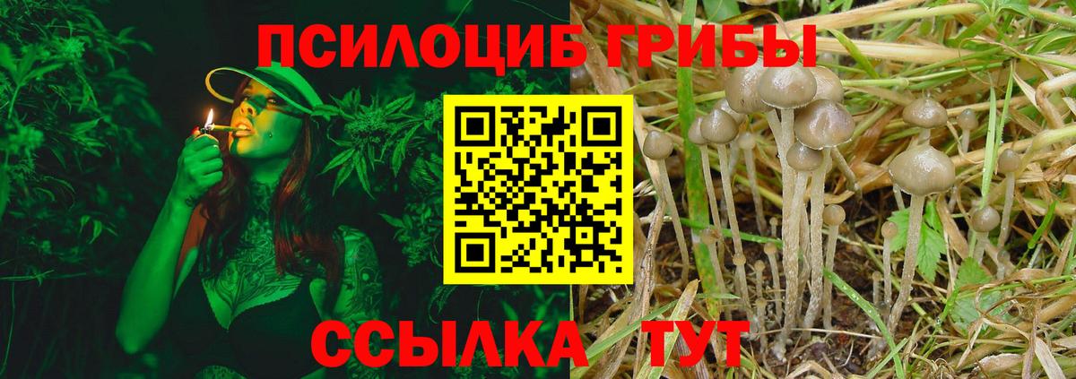 Златоуст  Псилоцибиновые грибы MAGIC MUSHROOMS  Вход с VPN 